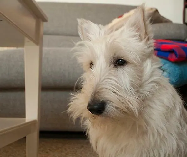 Marina Di Piazzadarmi