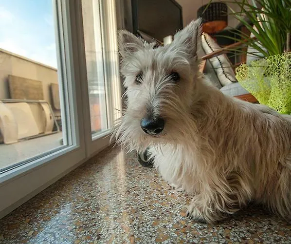 Marina Di Piazzadarmi Ancona