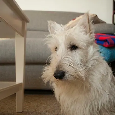 Marina Di Piazzadarmi