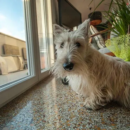 Marina Di Piazzadarmi Ancona